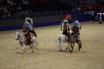 Quadrille - 00193